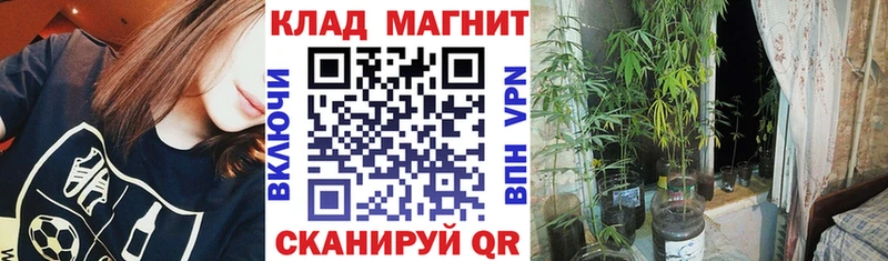 Купить наркотики сайты Нерехта mega как войти Гашиш Марихуана APVP
