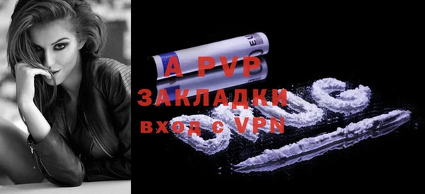 крисы Баксан