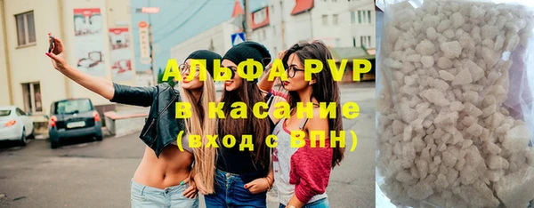крисы Баксан