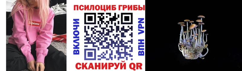 цены наркотик  Нерехта  Псилоцибиновые грибы Magic Shrooms 