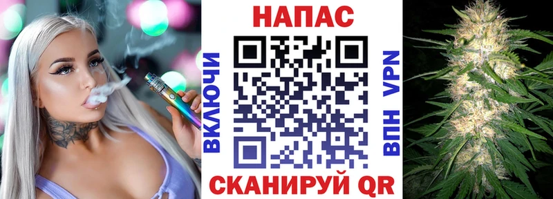 закладка  Нерехта  Канабис сатива 